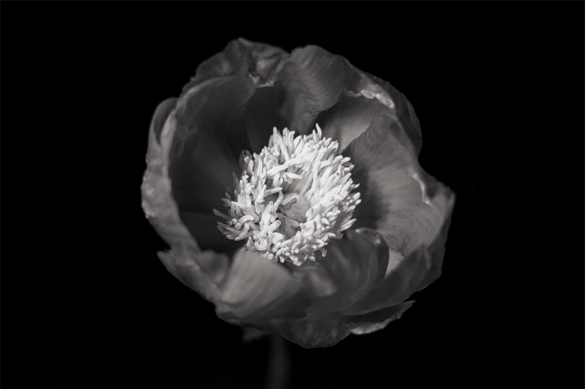 Yifan Lai | Photography 3