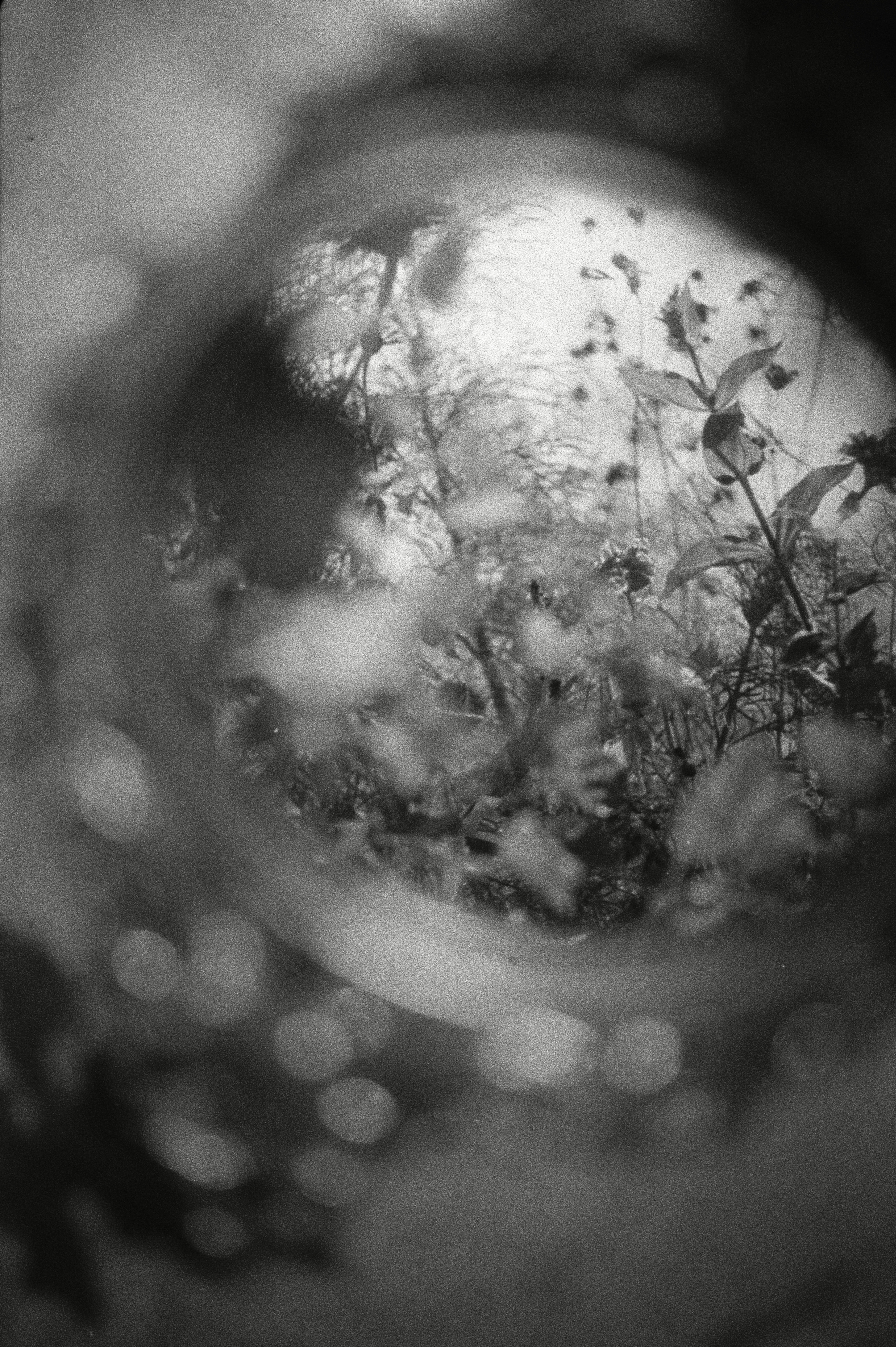 Clare Test Student | Animation 1