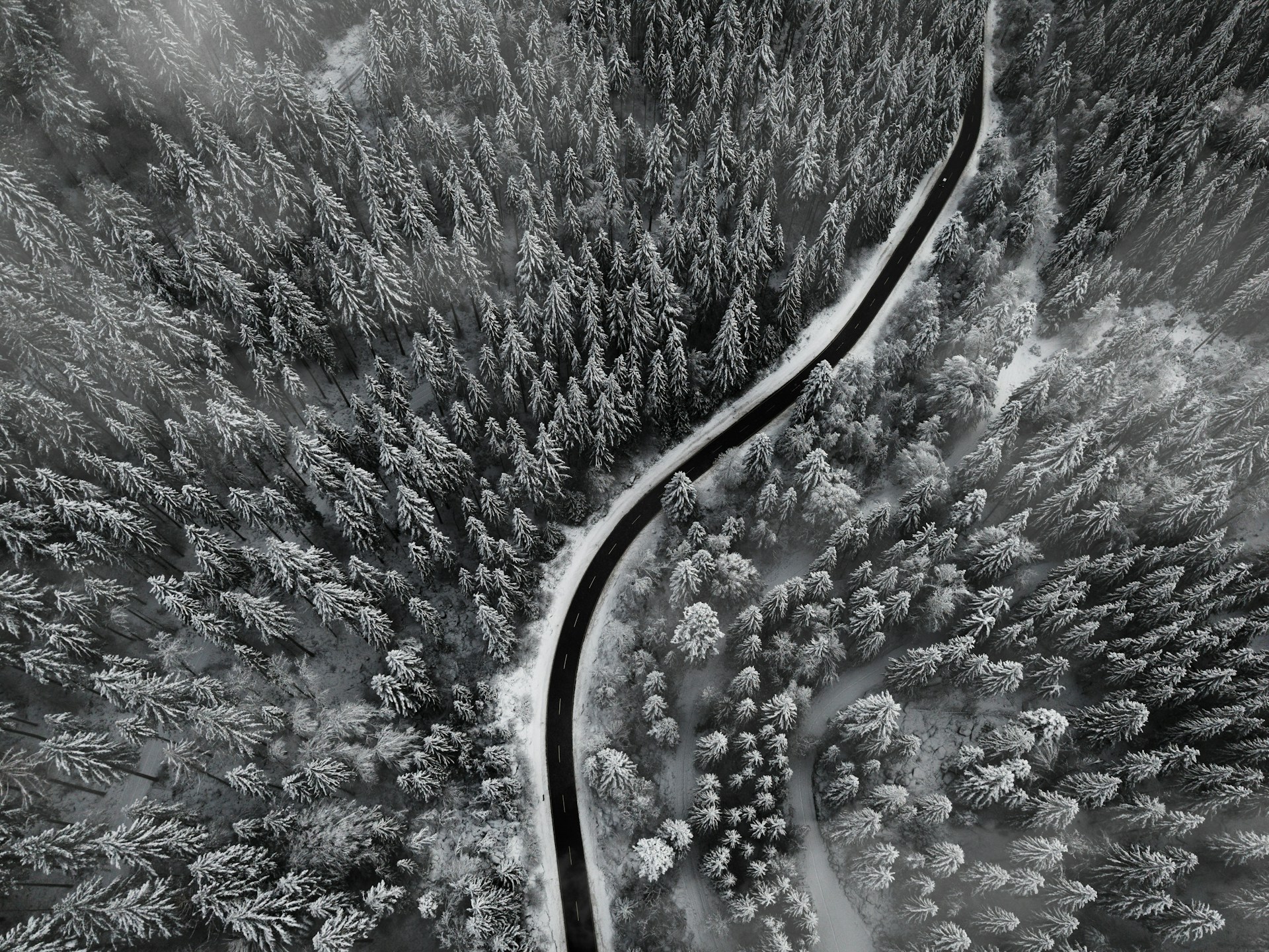 Test, please ignore. Test, please ignore. | Advertising 8